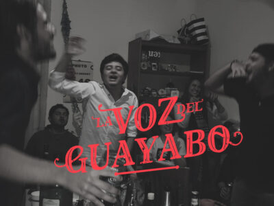 La Voz del Guayabo
